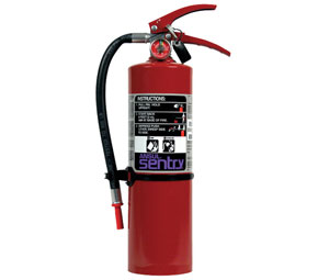 Ansul Sentry - Purple-K Dry Chemical Fire Extinguisher-image
