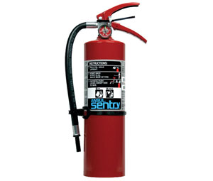 Ansul Sentry - BC Dry Chemical Fire Extinguisher-image