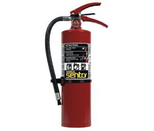 Ansul Sentry 434735 - 5 lb. Dry Chem. Fire Extinguisher-image